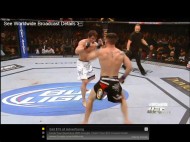 SonnenvsBisping
