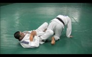 reversecalfslicer