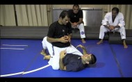 GracieBreakdown