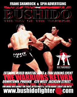 Bushido 2 Poster