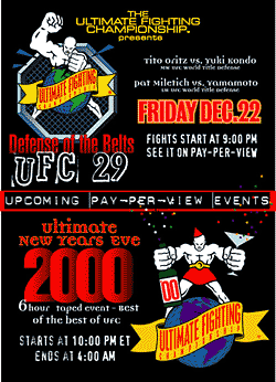 UFC XXIX Poster